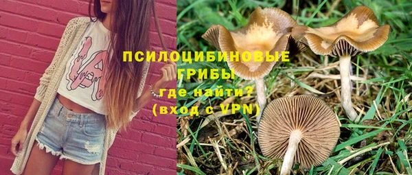 героин Инсар