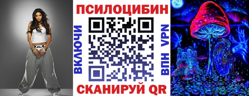 Купить где  Заозёрск  Псилоцибиновые грибы Psilocybine cubensis 