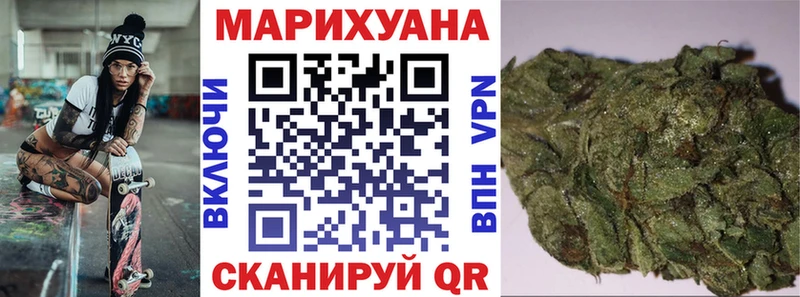 Купить закладки  Заозёрск  Конопля SATIVA & INDICA 